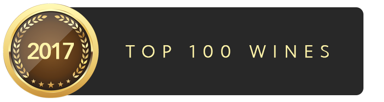 2017 Top 100 icon